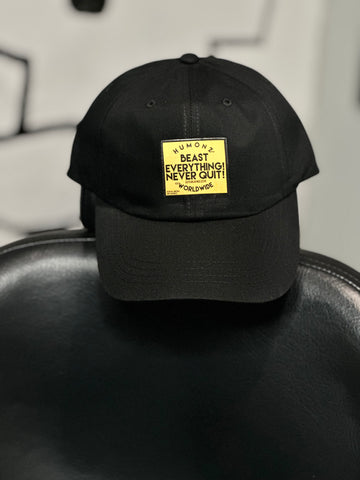 Beast everything dad hat